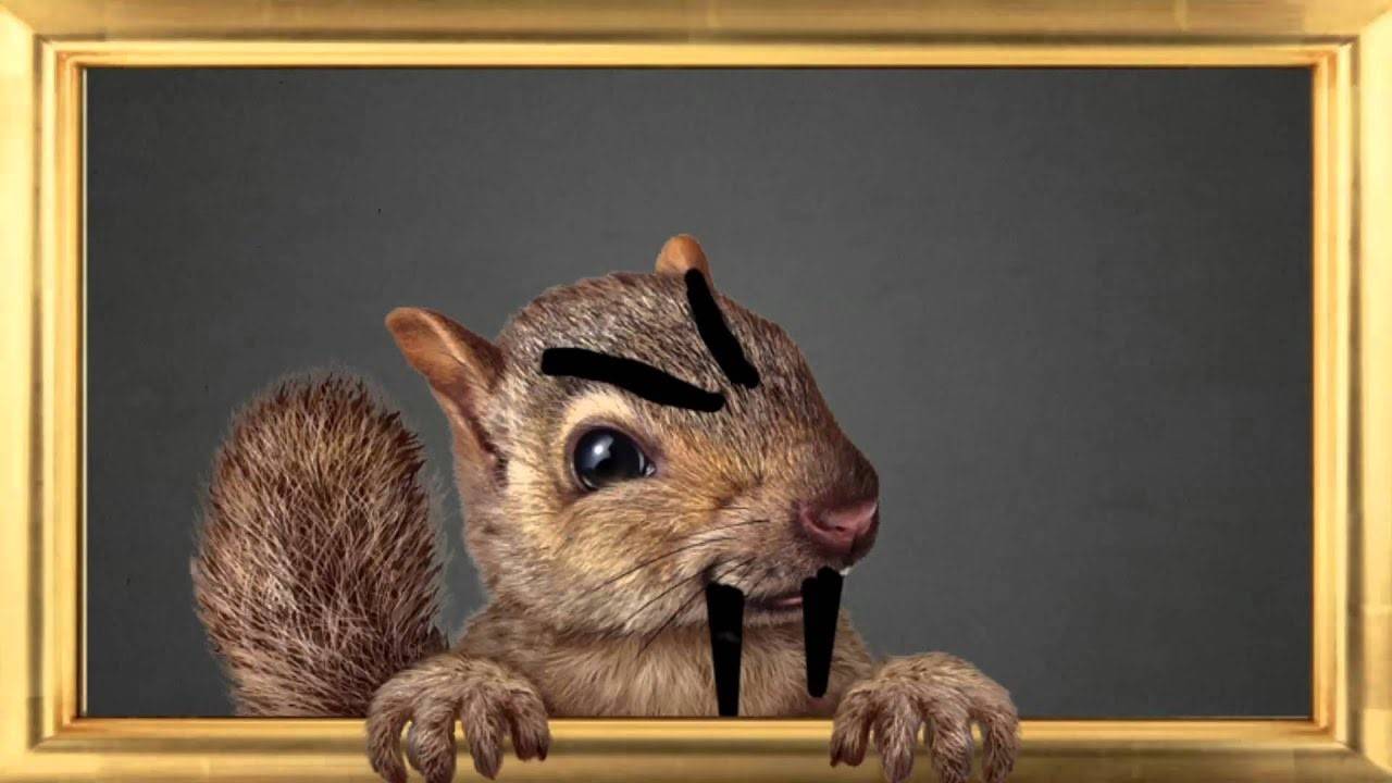 25